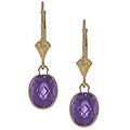 14k Yellow Gold Amethyst Leverback Earrings