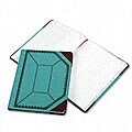 Esselte Pendaflex Record/Account Book - 300 Pages