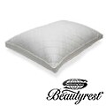 Beautyrest Quilted Down Alternative Pillow Set