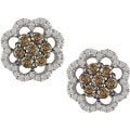 14k Gold 1ct TDW Brown and White Diamond Earrings