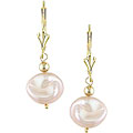 14k Gold Freshwater Keshi Pink Pearl Earrings