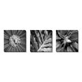 Botanical Suite Gallery Wrapped Canvas Art Set