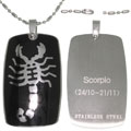 Zodiac Sign Stainless Steel Necklace
