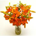 Bouquet of Orange Lilies