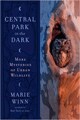 Central Park in the Dark