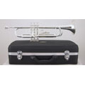 Elegant Silver Trumpet