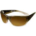 Anarchy Shield 'Riot' Sunglasses