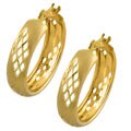 14k Yellow Gold Satin Mosaic Hoop Earrings