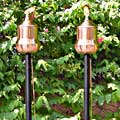 Costa Rica Garden Torch (Set of 2)