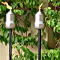 Costa Rica Garden Steel Torch (Set of 2)