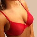 Warner's Sheer Heaven Bra