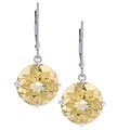 14k White Gold Round Lemon Quartz Earrings