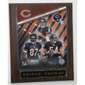 Big 3 Chicago Bears Plaque