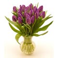 Bouquet of Purple Tulips