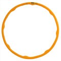 Digital Fitness Hula Hoop