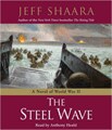 The Steel Wave (abridged audio CD)