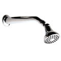 Pegasus Chrome Bell Style Showerhead with Arm