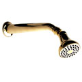 Pegasus Bell Style Showerhead and Shower Arm (Polished Brass)