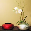 Silver Leaf Orchid Vases (Set of Two)