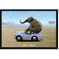 Elephant in Car 'Life's a Beach' Framed PosterZ