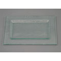 Fusion Rectangle Frosted Plate (Case of 6)