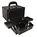 Black Makeup Train Case with Trays
