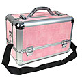 Pink Aluminum Makeup Train Case
