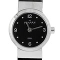 Skagen Women's Small Dial Watch