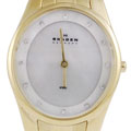 Skagen Goldtone Stainless Steel Women's Watch