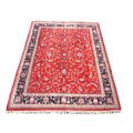 Indo Tabriz Hand-knotted Red/ Black Rug (9' x 12')