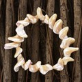 Nacar Bracelet (Colombia)