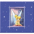 Disney Tinker Bell Embossed Postbound Album