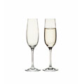 Teardrop 7-ounce Champagne Glass (Set of 6)