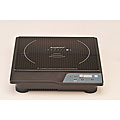 Portable Induction Stove