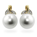 14k Gold FW Pearl and Diamond Stud Earrings