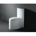 Royal Regency 1001 Dual Flush Toilet