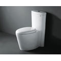 Royal Monterey 1009 Dual Flush Toilet