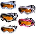 The North Face Eyequipment Snowsports Goggles