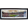 Indianapolis Colts Eight Yard Line Photo Print