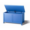 Kylie Blue Trunk