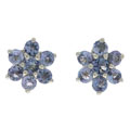 Sterling Silver and Tanzanite Earrings