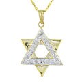 10k Gold Diamond Star of David Necklace