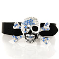 Unisex Skull and Crossbones Fashion Belt Buckle