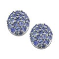 10k White Gold Tanzanite Earrings
