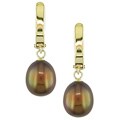 14k Yellow Gold Brown Freshwater Pearl Earrings