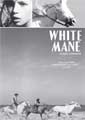 White Man - Janus Films / Criterion Collection (DVD)