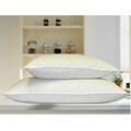 Arctica Down Pillows (Pack of 2)