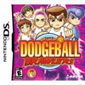 NinDS - Super Dodge Ball Brawlers