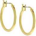 Goldtone Hoop Earrings