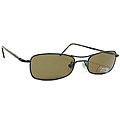 Calvin Klein Mocha Lens Fashion Sunglasses